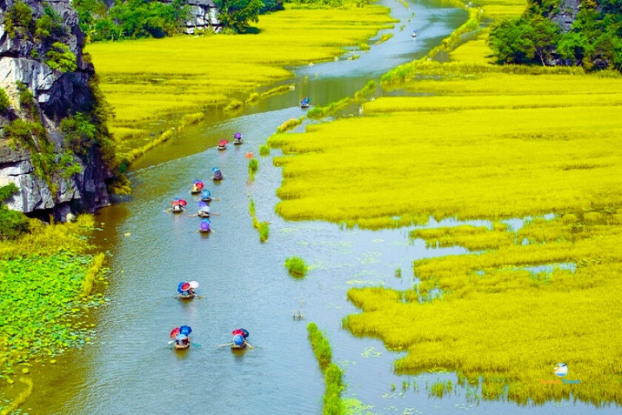 Tam Coc boat ride through rice fields in Ninh Binh Vietnam – Auasia Travel